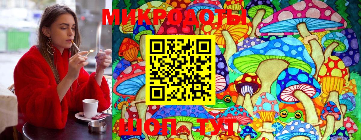 Галлюциногенные грибы Psilocybine cubensis Архангельск
