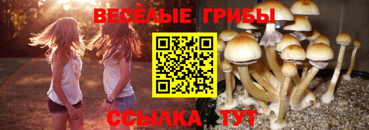магазин продажи   Галлюциногенные грибы прущие грибы  Вход с VPN  Архангельск 